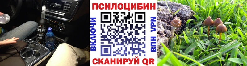 Галлюциногенные грибы мухоморы  купить  сайты  Волоколамск 